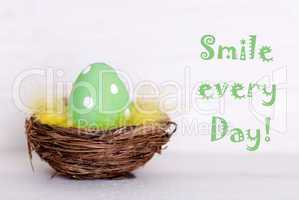 One Green Easter Egg In Nest With Life Quote Smile Every Day