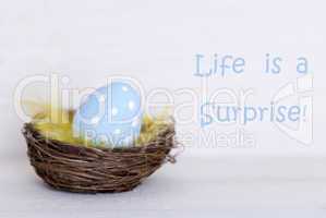 One Blue Easter Egg In Nest With Life Quote Life Is Surprise
