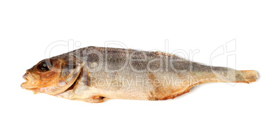 Sun-dried stockfish isolated on white background