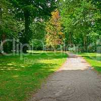 path to walk in a beautiful park