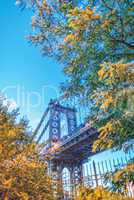 The Manhattan Bridge surrounded by trees - New York City