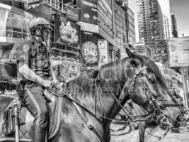 NEW YORK, USA - JUNE 11: Police officer rides his horse downtown
