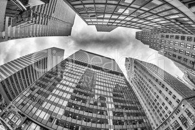 Skyward view of Office Skyscrapers, New York City