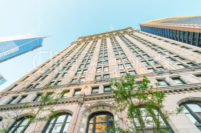 Downtown Manhattan skyscrapers as seen from street level