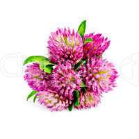 Clover bouquet