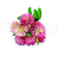 Clover pink bouquet