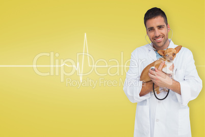 Composite image of vet holding chihuahua