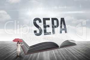 Sepa against open book against sky