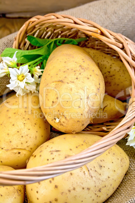 Potatoes yellow with flower in basket on sackcloth and board