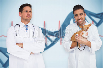 Composite image of vet holding chihuahua and doctor