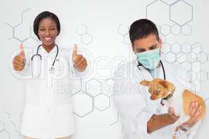 Composite image of vet holding chihuahua and nurse showing thumb