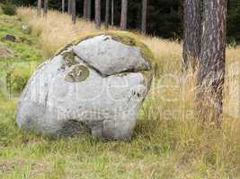 boulder in forest