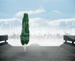 Composite image of tall tree with green foilage