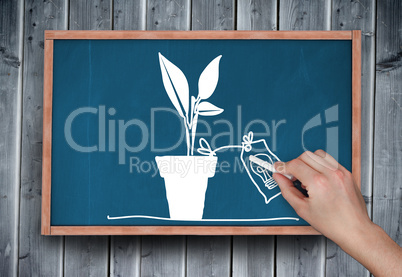 Composite image of hand drawing plant with chalk
