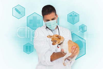 Composite image of vet holding chihuahua