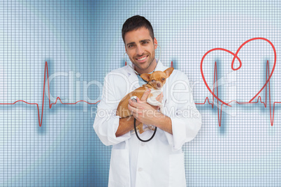 Composite image of vet holding chihuahua