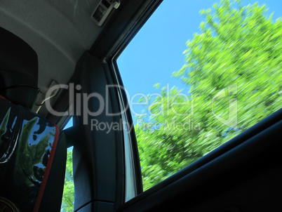 Childs view out of a driving car