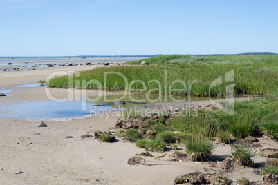 Beach and coast at Isefjord in Denmark