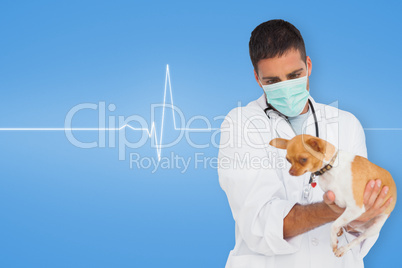 Composite image of vet holding chihuahua