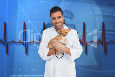 Composite image of vet holding chihuahua