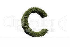 Capital letter c made of leaves