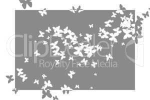 Stencil butterfly pattern design in grey and white