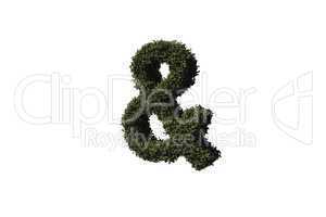 Ampersand made of leaves