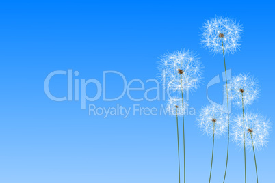 Digitally generated dandelions against blue sky