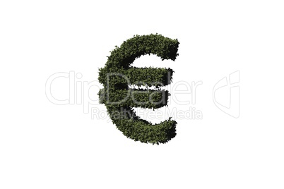 Euro sign made of leaves