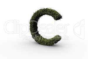 Capital letter c made of leaves