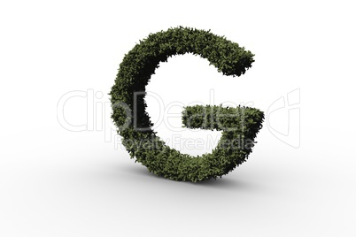 Capital letter g made of leaves