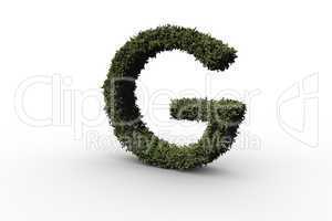 Capital letter g made of leaves