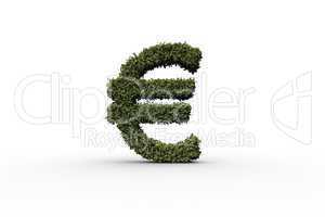 Euro sign made of leaves
