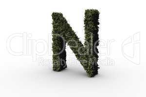 Capital letter n made of leaves