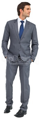 Handsome businessman in grey suit