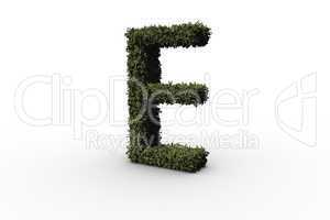 Capital letter e made of leaves