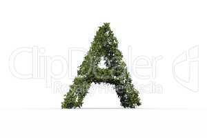 Capital letter a made of leaves