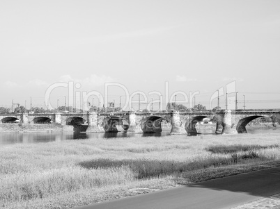 Elbe river in Dresden