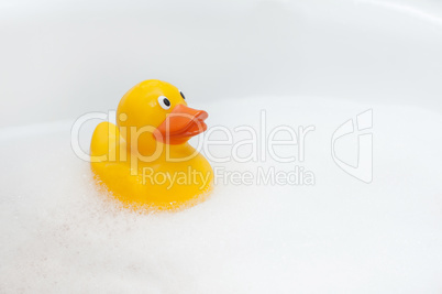 Rubber duck in foam bath
