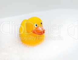 Rubber duck in foam bath