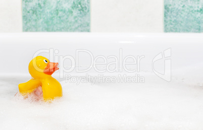 Rubber duck in foam bath