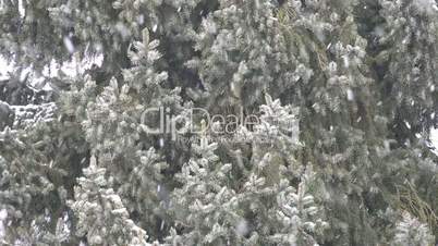 Schneeflocken Tannenbaum 02