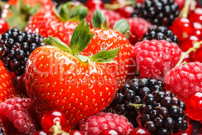 Variety of different berries