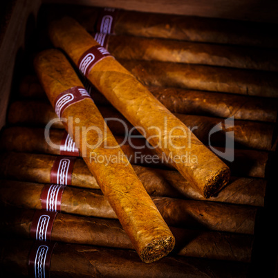 Cigars in humidor