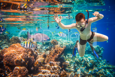 Snorkeler Maldives Indian Ocean coral reef.