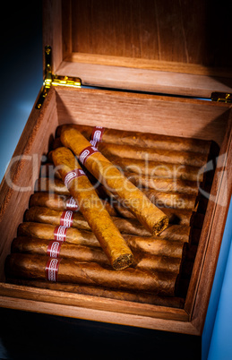 Cigars in humidor