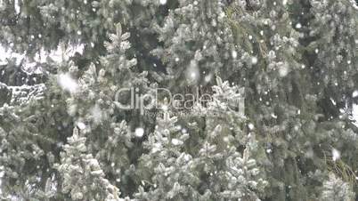 Schneeflocken Tannenbaum 03