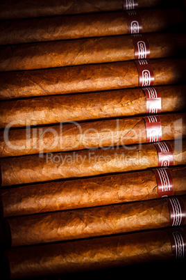 Cigars in humidor