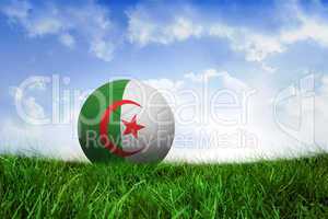 Football in algeria colours