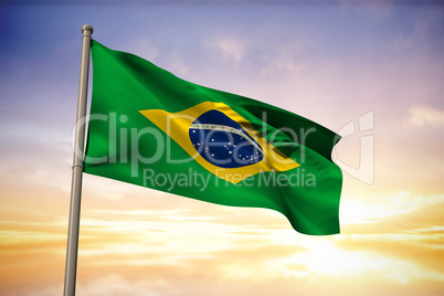 Brazil national flag